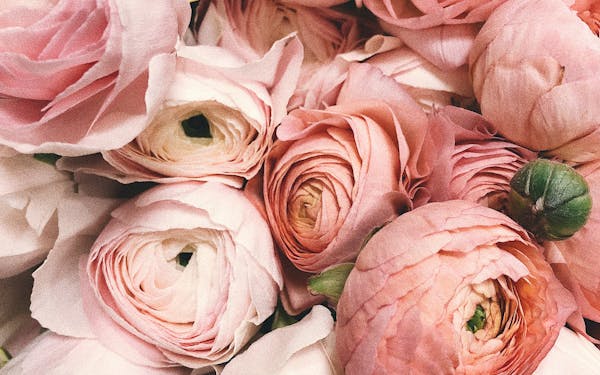 Магазин цветов